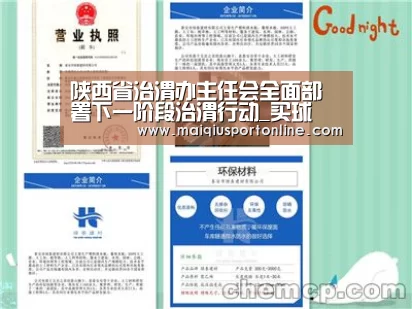陕西省治渭办主任会全面部署下一阶段治渭行动_买球(图1) 世界杯赛程